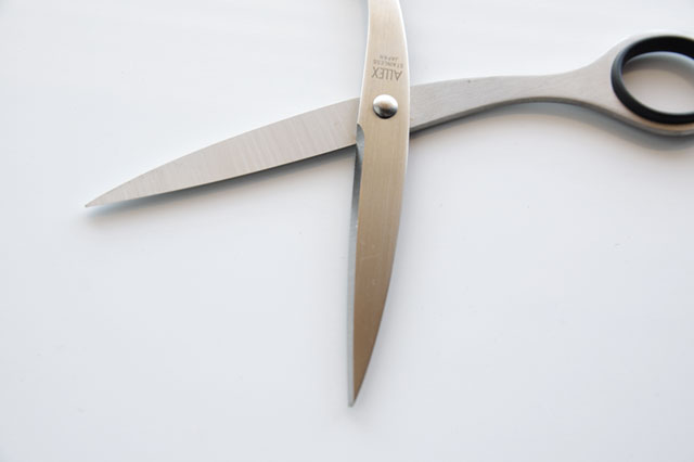 ALLEX Stainless Scissors