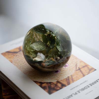 エバーリーフ ボール