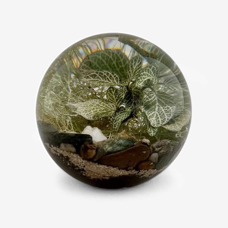 エバーリーフ ボール