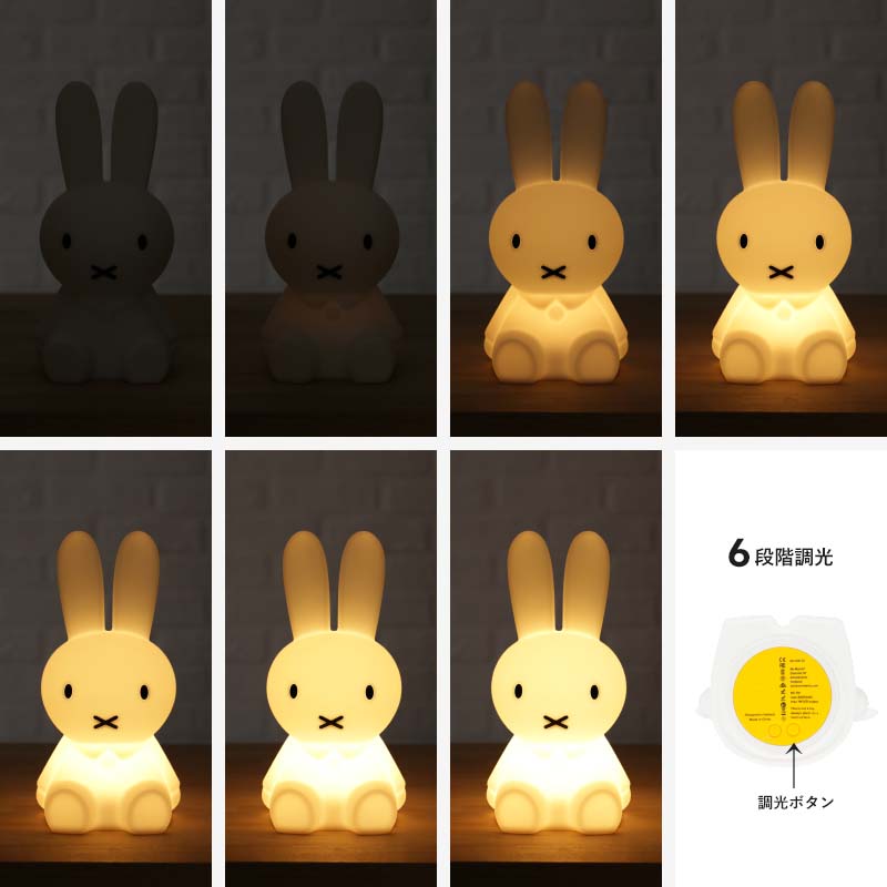 FIRST LIGHT miffy and friends