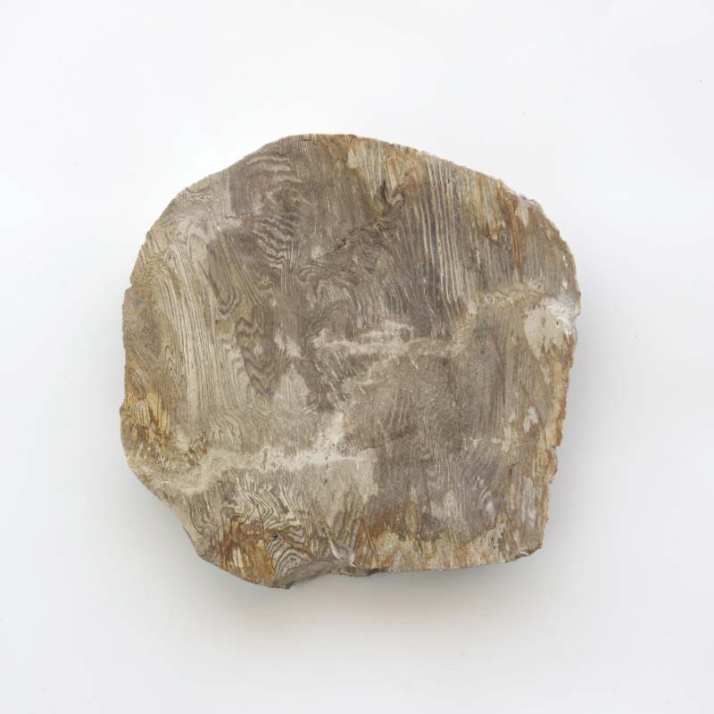 Wood Plate 20