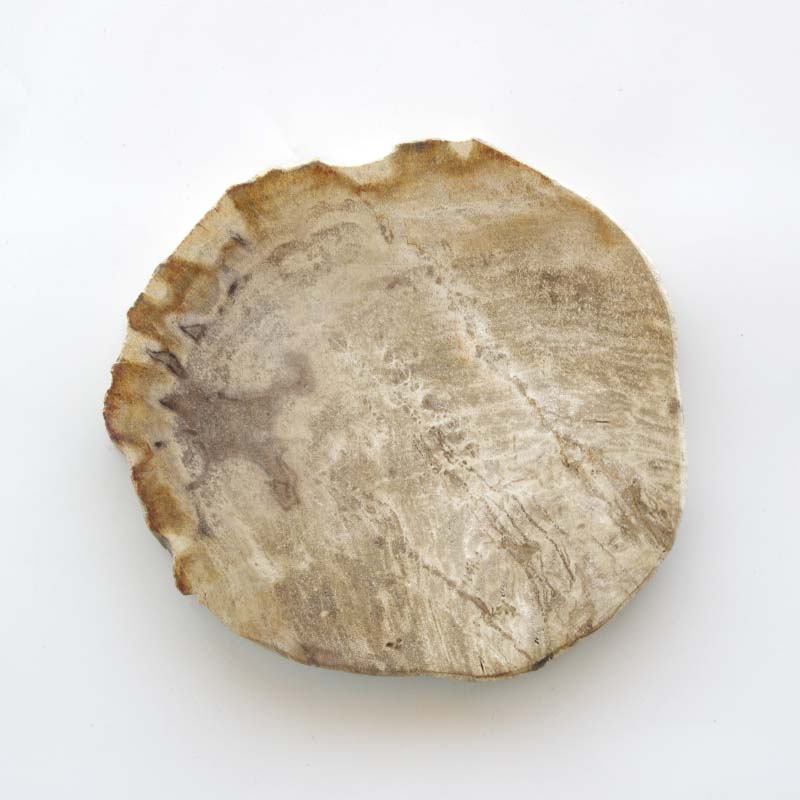 Wood Plate 20