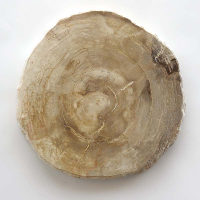 Wood Plate 30