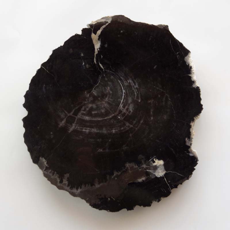 Wood Plate 30