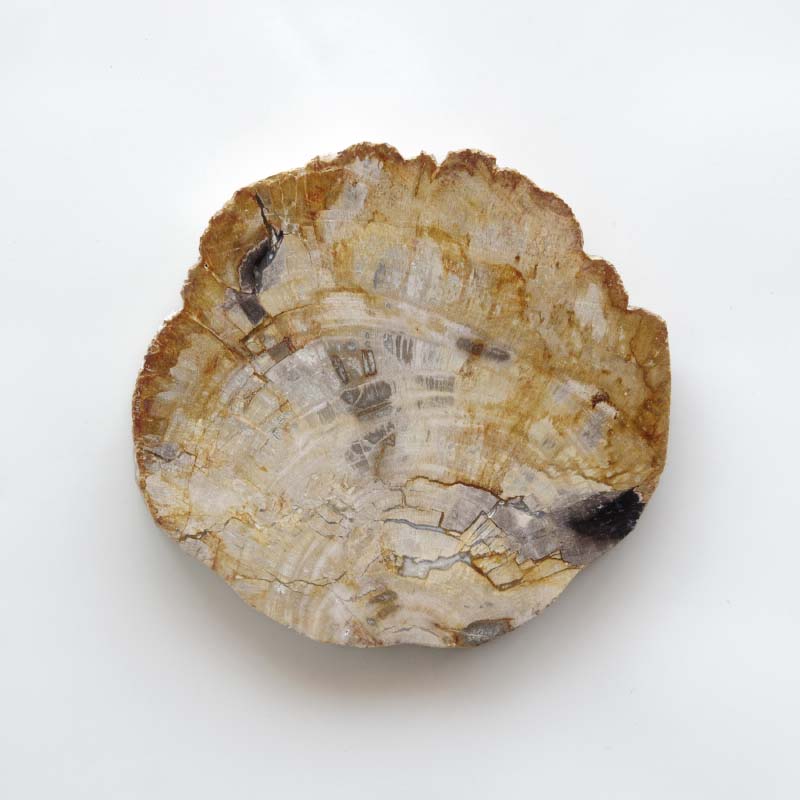Wood Plate 20