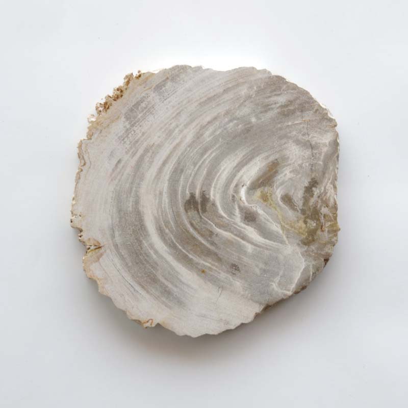 Wood Plate 20