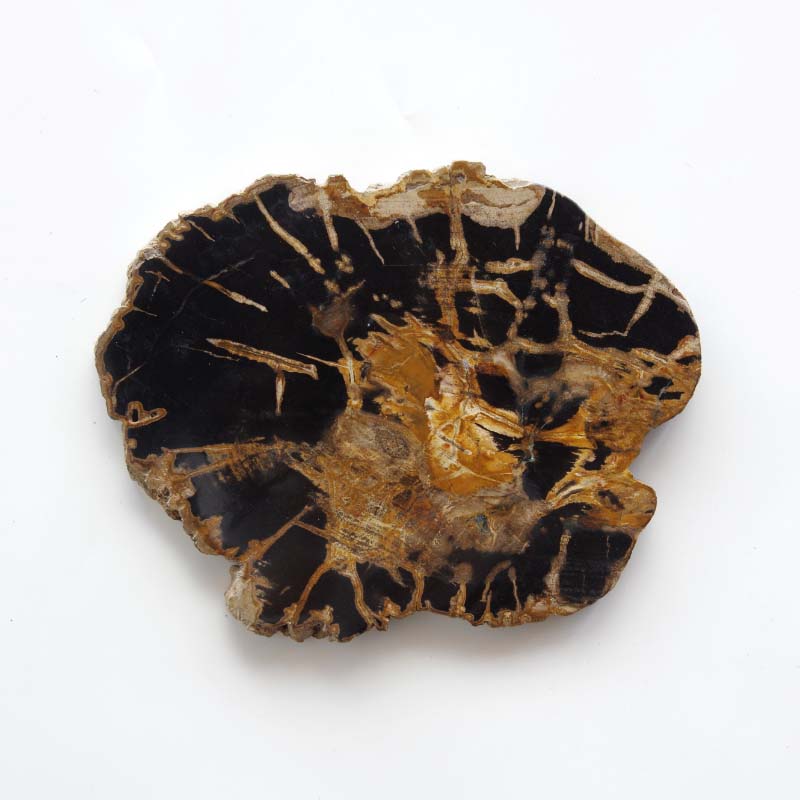 Wood Plate 20