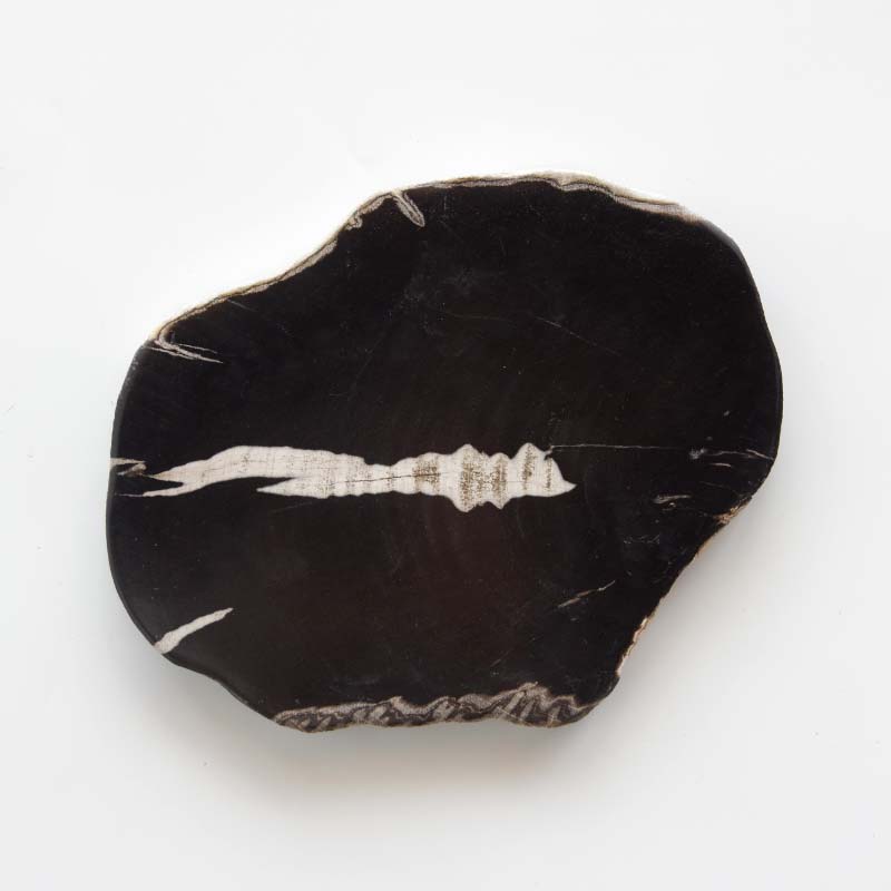 Wood Plate 20