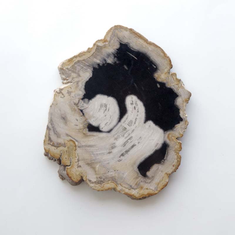 Wood Plate 20