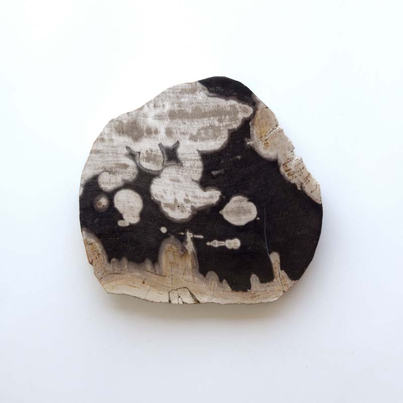 Wood Plate 20
