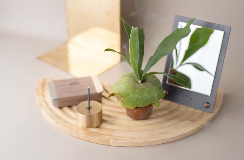WOOD CIRCLE TRAY