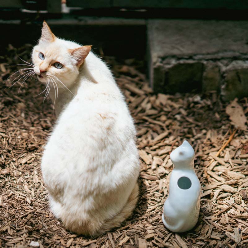 ひがし ちか 花器「愛 編む 磁器猫」