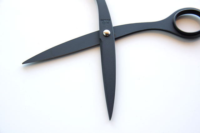 ALLEX Stainless Scissors Black