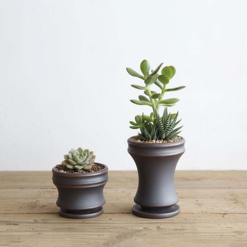 Alloy POT&SAUCER M (low)