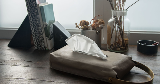 LEATHER TISSUE COVER