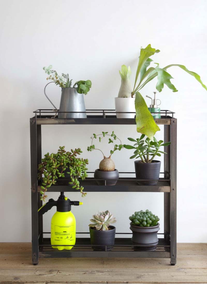 StahL BOTANICAL WIRE RACK