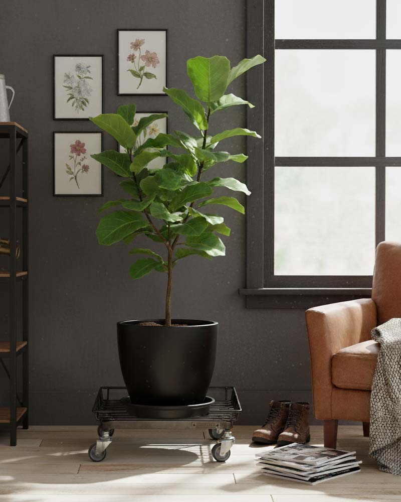 StahL BOTANICAL WIRE TROLLEY