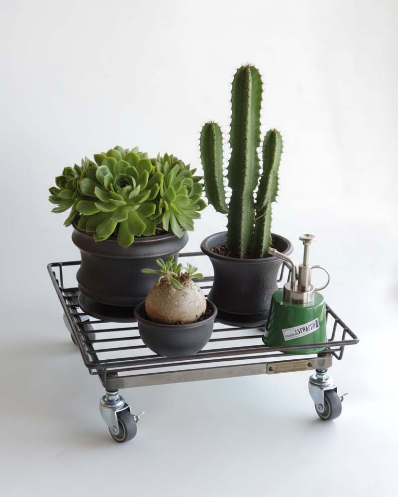 StahL BOTANICAL WIRE TROLLEY